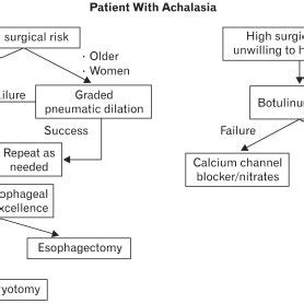 Achalasia Subtypes By High Resolution Manometry A Type I Classic