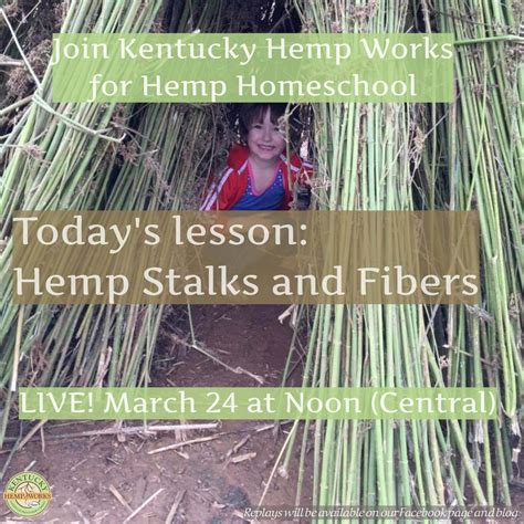 Hemp Homeschool Lesson 3 Hemp Stalks And Fibers Kentucky Hemp Works