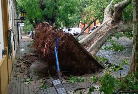 Tempestades Causam Mortes Na Argentina E Atingem O Uruguai Np Expresso