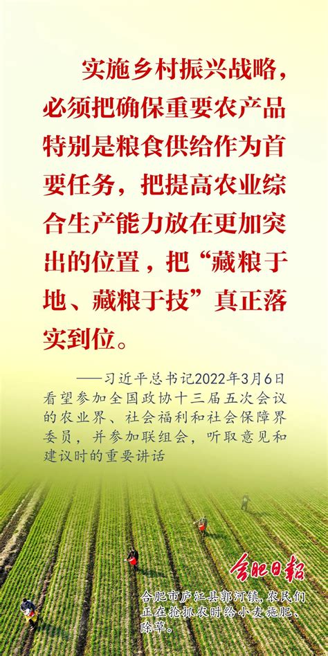 早安 把“藏粮于地、藏粮于技”真正落实到位 澎湃号·政务 澎湃新闻 The Paper