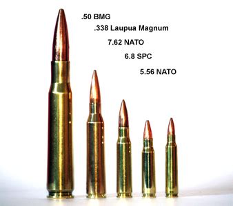 Lapua Ammo Vs Bmg