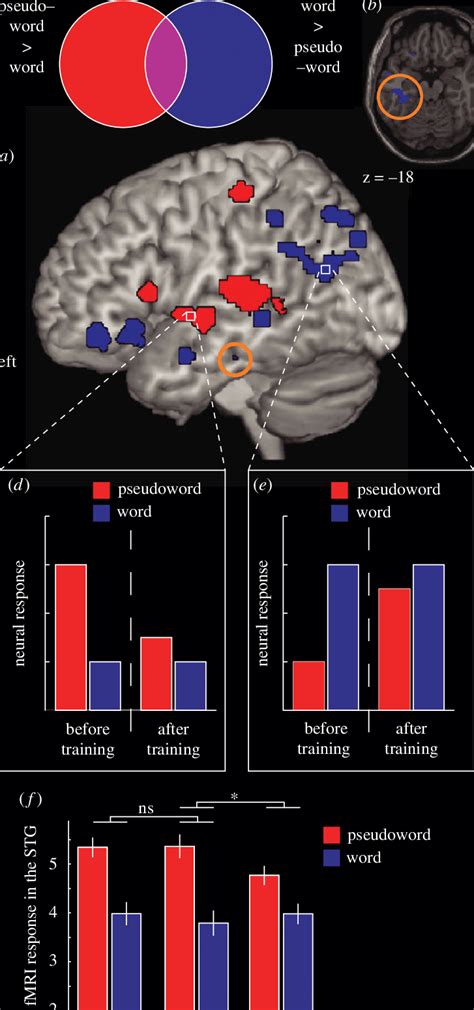 Activation Likelihood Estimation Ale Map Derived From Peak Voxels