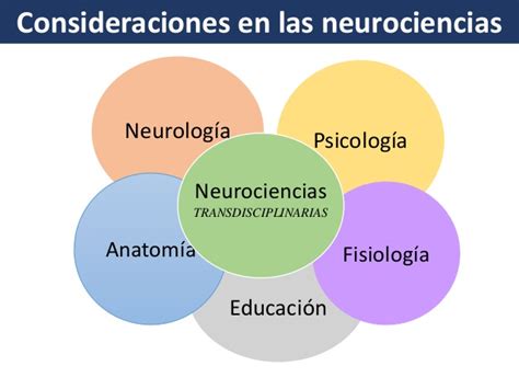 Neurociencia ¿qué Es Neurociencias