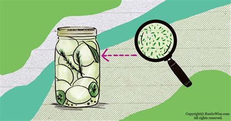 How Long Does It Take for Botulism to Grow in Canned Food? » RusticWise