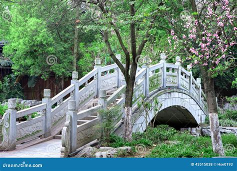 Arch Bridge In Chinese Garden Stock Photography | CartoonDealer.com #10210994