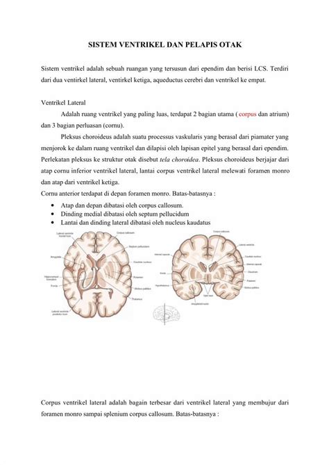 Pdf Sistem Ventrikel Dan Pelapis Otak Dokumen Tips