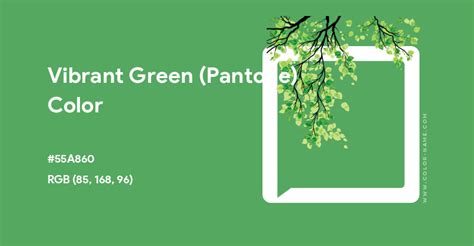 Vibrant Green (Pantone) color hex code is #55A860