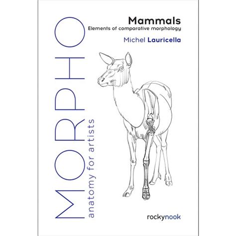 Morpho: Mammals - (morpho: Anatomy For Artists) By Michel Lauricella ...