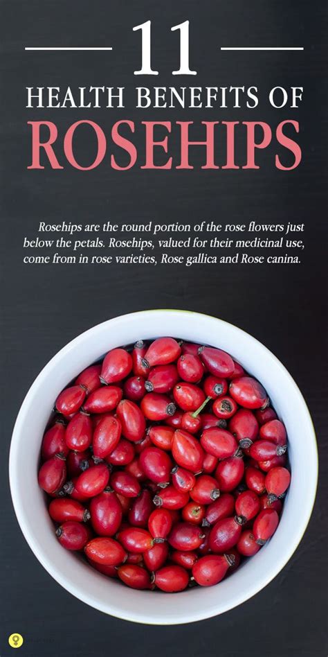 12 Amazing Health Benefits Of Rose Hips Rose Hips Benefits Rosehip