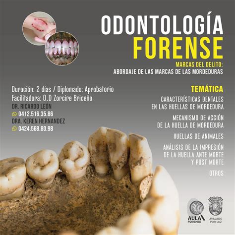 Odontolog A Forense Aulaforense