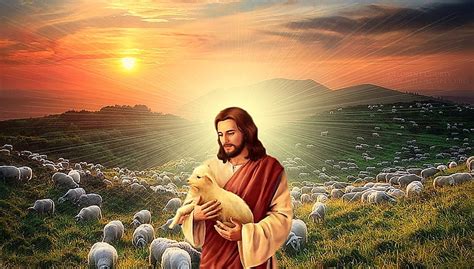 Collage Christ Sheep Jesus Shepherd Nature Hd Wallpaper Peakpx