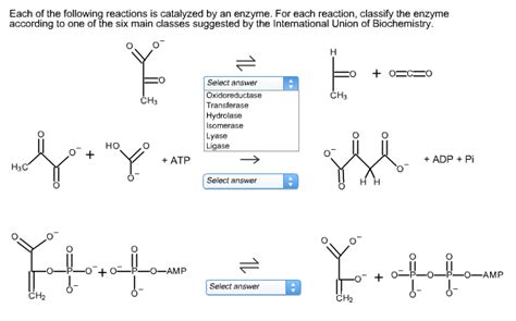 Solved Each of the following reactions is catalyzed by an | Chegg.com