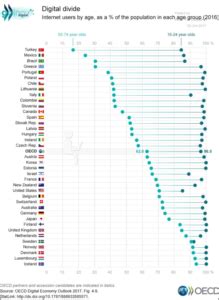global digital divide  big picture
