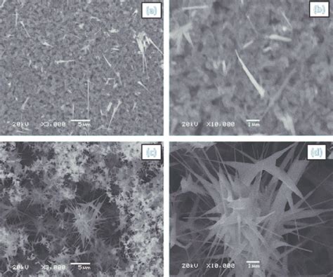 A Low And B High Magnification SEM Images The Oxidized Cu Sheets