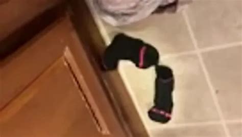 Free Tennessee Porn Videos XHamster