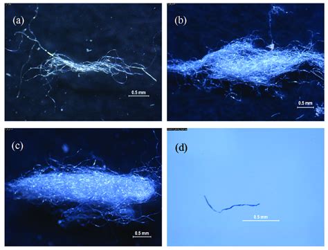 Examples of PET fibers isolated in: (a-c) knotty masses from laundry ...