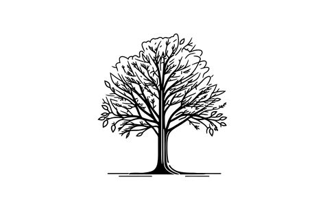 Tree Outline Sketch Drawing Flat Vector Graphic by Gfx_Expert_Team ...