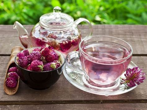 Red Clover Tea How To Make And Benefits Organic Facts Recipe Tea