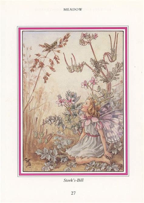 Fairy Art Flower Art Storks Bill Meadow Fairy Flower Fairies Of The