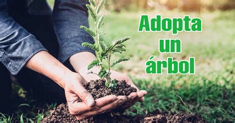 LANZAN CAMPAÑA ADOPTA UN ÁRBOL EN APASEO Proyecto Sumar