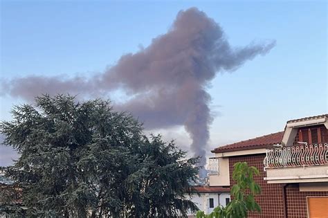 Va A Fuoco Un Capanno Di Una Cascina A Lodi Cani Da Caccia Muoiono