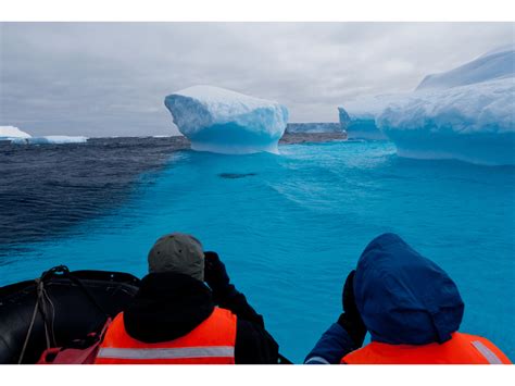 Best Small Ship Cruise to Antarctica in 2024 and 2025 - Polar Guidebook