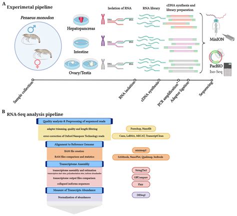 Life Free Full Text Comparative Analysis Of Pacbio And Oxford