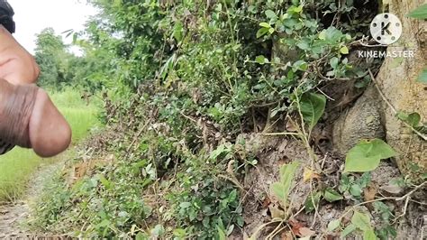 Jungle Ghumne Ke Liye Ga Hai Gay Black Black Porn Feat Karbi Anglong