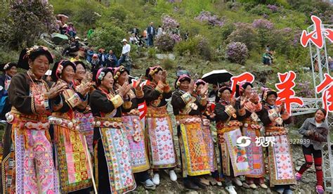 小金县日尔乡董马村 第二届羊角花暨乡村旅游季开幕仪式 图片 轩视界