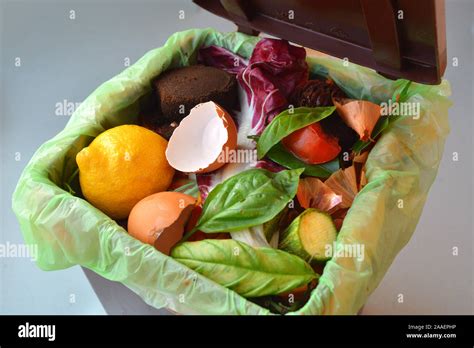 Trash Bin Full Of Organic Garbage Stock Photo Alamy