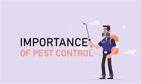 Importance Of Pest Control Thunda Funda