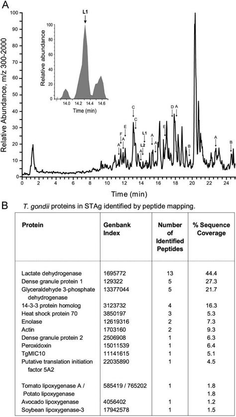 Lc Ms Ms Analysis Of Tryptic Peptides From T Gondii Protein Extract Download Scientific