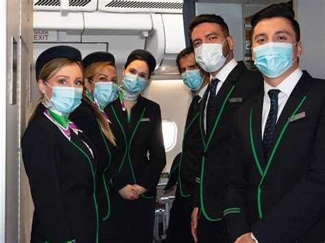 Wamos Air Cabin Crew Requirements And Qualifications Cabin Crew Hq