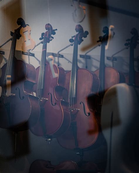 Musique Instrument Violon Photo Gratuite Sur Pixabay Pixabay