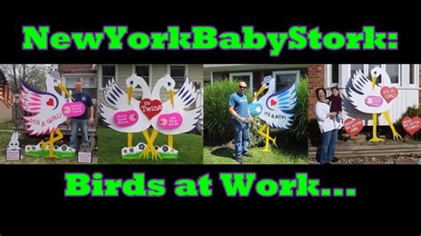 Stork Sign Rentals New York Baby Stork Youtube