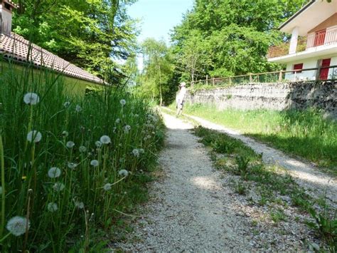 Sentiero Dell Acquedotto E Delle Prese Del Monte Cesen Pianezze