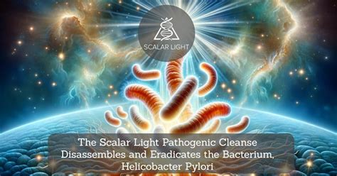 The Scalar Light Pathogenic Cleanse Disassembles And Eradicates The Bacterium Helicobacter Pylori