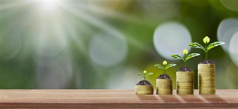 Financial Business Background Planting Trees On Coins And Wooden