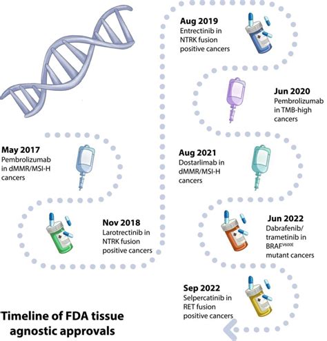 Yüksel Ürün Tumor agnostic therapies are revolutionizing oncology