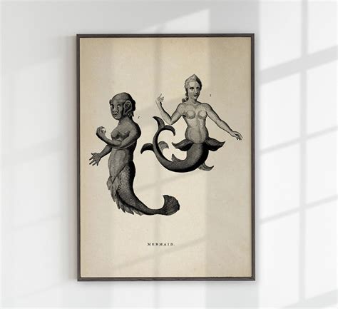 Antique Mermaid Poster – Kuriosis.com