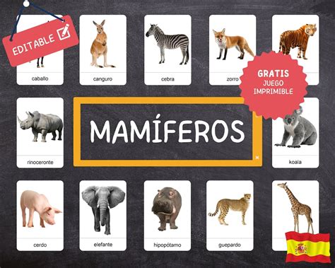 ANIMALES MAMÍFEROS Montessori 24 tarjetas educativas fáciles de