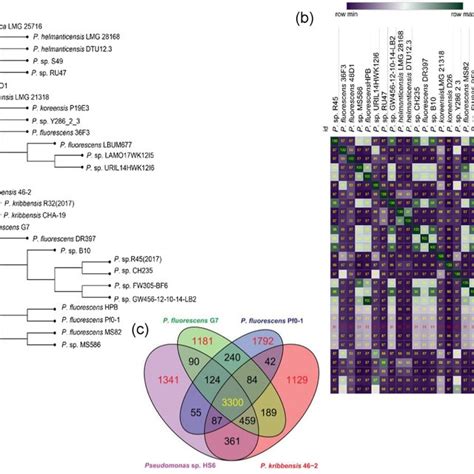 Evolutionary And Comparative Genomic Analysis A Phylogenetic Tree Download Scientific Diagram