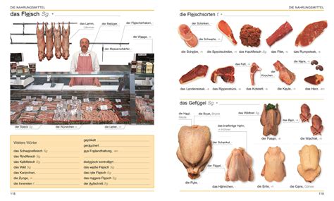 Visuelles Wörterbuch Deutsch als Fremdsprache DK Verlag