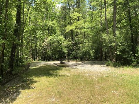 Site 31 Lake Rabun Beach Recreation Area