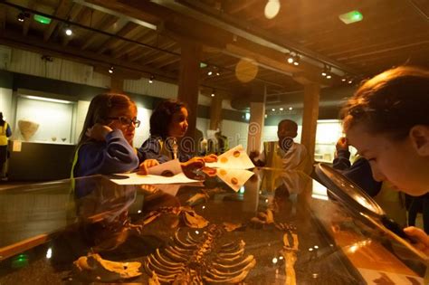 Enfants Pendant La Visite L Exposition De Roman Dead Au Mus E Des