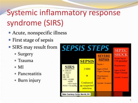 Ppt Sepsis And Septic Shock Powerpoint Presentation Free Download Id 2108148