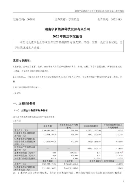 宇新股份：2022年三季度报告