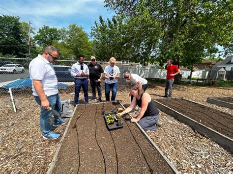 Roselle Park Community Garden Union County Plant A Seed Blog