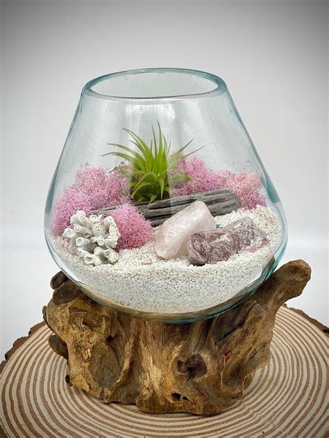 Pretty In Pink Air Plant Terrarium Hand Blown Glass Melted Over