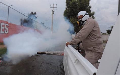 Con frentes fríos y fumigaciones se pretende nulificar al mosquito